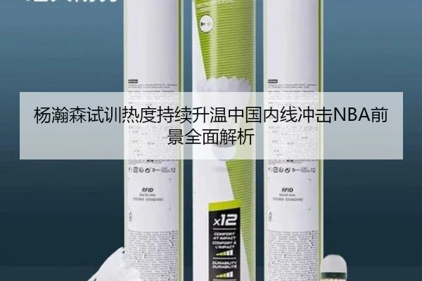 杨瀚森试训热度持续升温中国内线冲击NBA前景全面解析