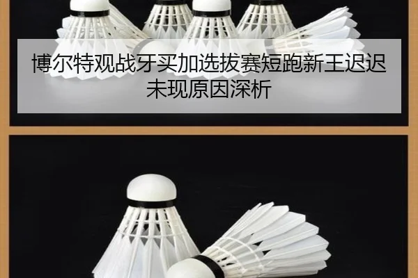 bo-er-te-guan-zhan-ya-mai-jia-xuan-ba-sai-duan-pao-xin-wang-chi-chi-wei-xian-yuan-yin-shen-xi-2-243.jpg